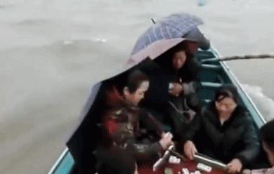 蚂蚁和大象结婚的笑话,蚂蚁和大象笑话大全爆笑