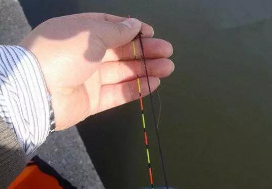 野塘底下淤泥很厚怎么钓,鱼塘底泥垢厚怎么钓鲤鱼