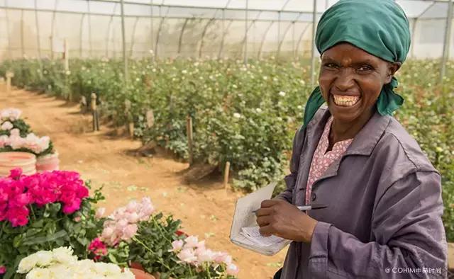 花艺行业如何借力发展,花艺行业发展现状