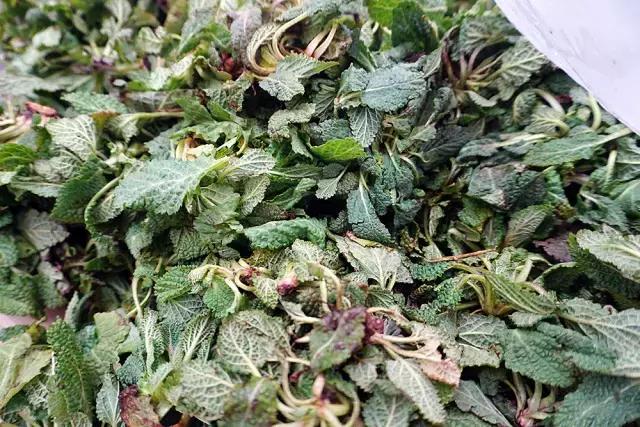 青岛市场火的小吃,最近很火的青岛菜