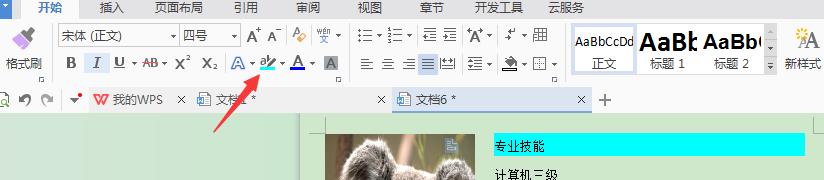 怎么用wps制作免费的简历,wps简历怎么制作