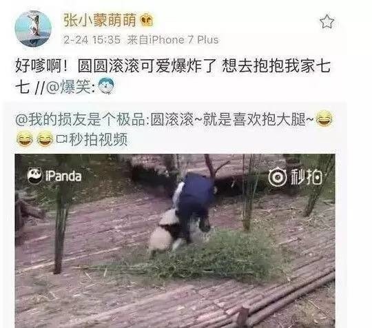 王思聪女友张小蒙个人资料,王思聪前女友张小蒙直播