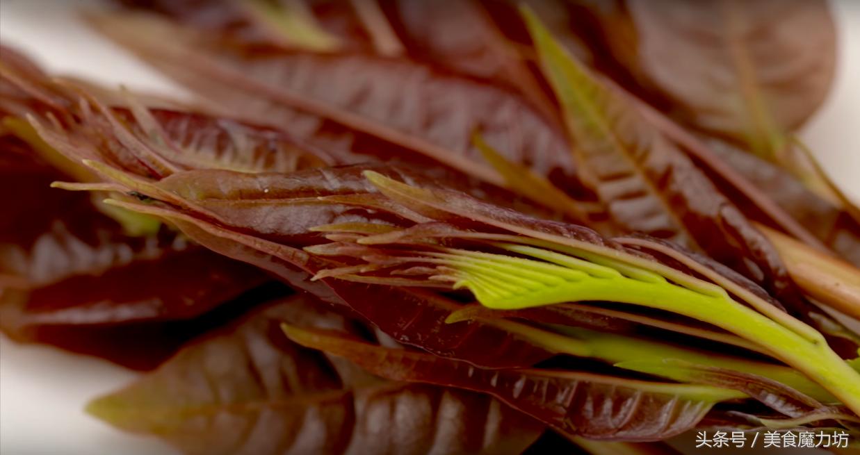 香椿怎么腌制好吃保存时间还长,如何腌制香椿好吃能久放不坏