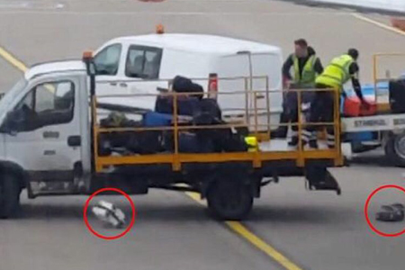 托运行李常识有哪些,行李托运到底怎样