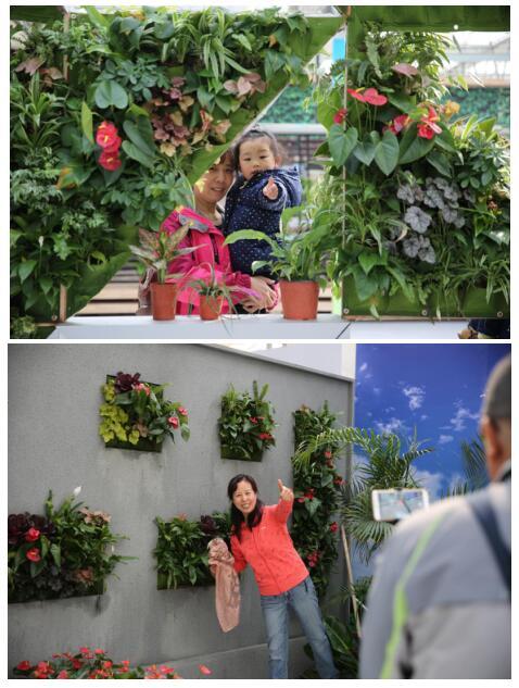 科技助力北京农业嘉年华中环易达实现社区田园梦