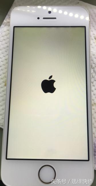 苹果5s老是白苹果重启后红屏,苹果5s开机白苹果怎样处理
