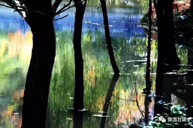 甘肃陇南成县最好玩的地方,陇南大美成州全景图