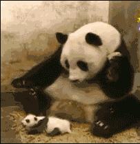 电影有马赛克如何消除掉,看电影偶尔出现马赛克哪里问题