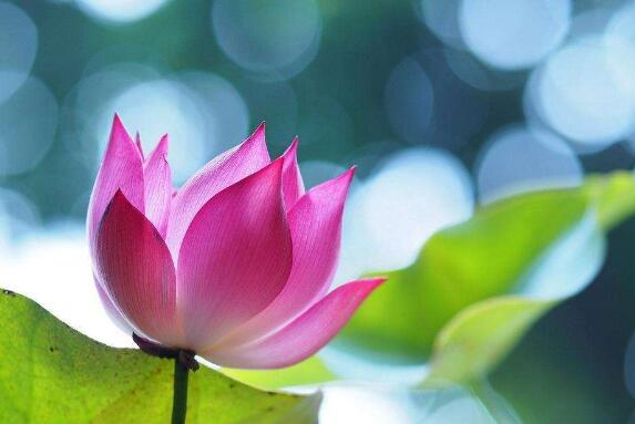 你真的了解佛牌吗,泰国佛牌禁忌10种传说