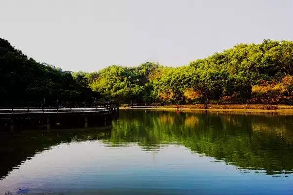 深圳单车爬山攻略推荐,来深圳必游的五大景点