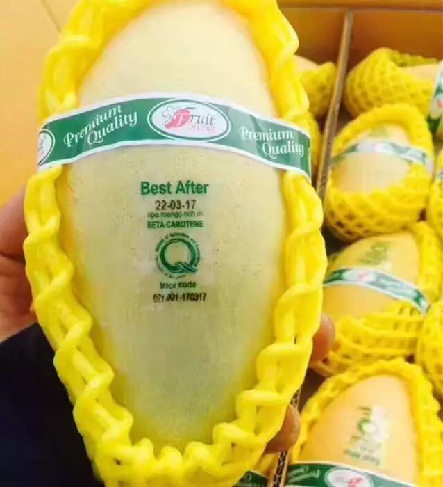 这芒果的味道太惊艳!年销6000万的批发商靠它成上海芒果一姐