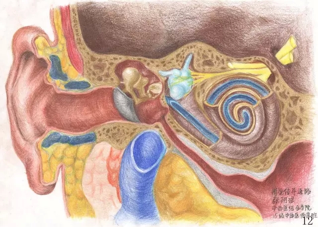 正所谓画骨画皮也画心,画皮画骨还画心