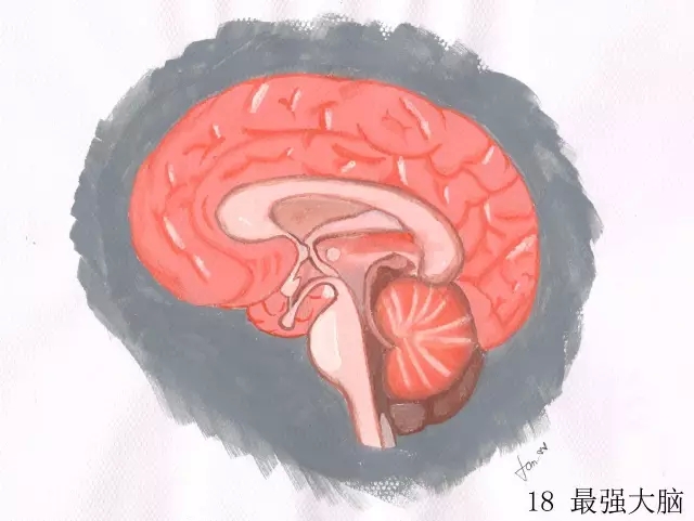 正所谓画骨画皮也画心,画皮画骨还画心