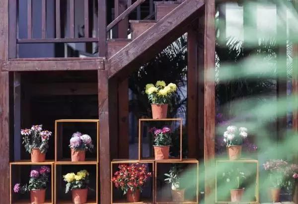 春风十里，不如睡你，南京这些特色旅馆，美貌又舒适！