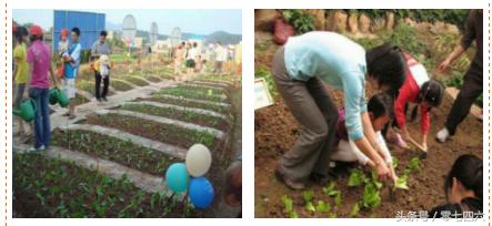 永州现真人开心农场-你还让人偷菜吗?