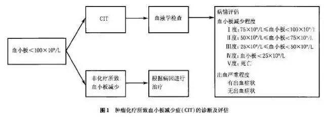 化疗导致血小板减少怎么办,化疗血小板低输血小板能维持多久