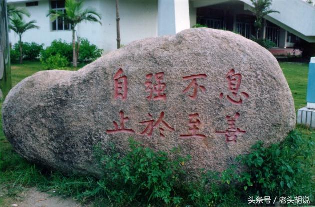 中国各大高校校训及解析,985高校校训里你最喜欢哪个