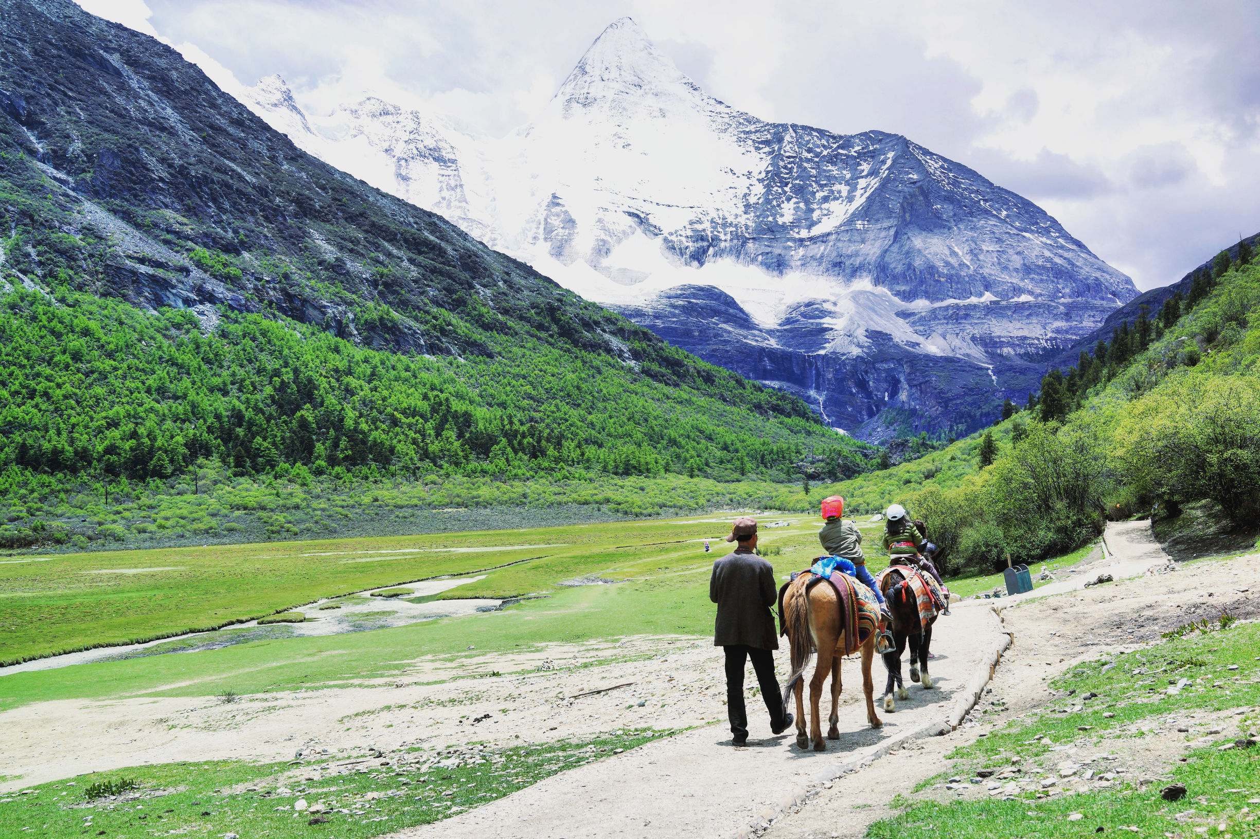 祭奠流逝的青春(五)开始找工作了