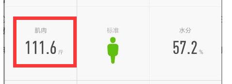 体脂秤和体重秤的区别,体重秤和体脂秤有什么区别