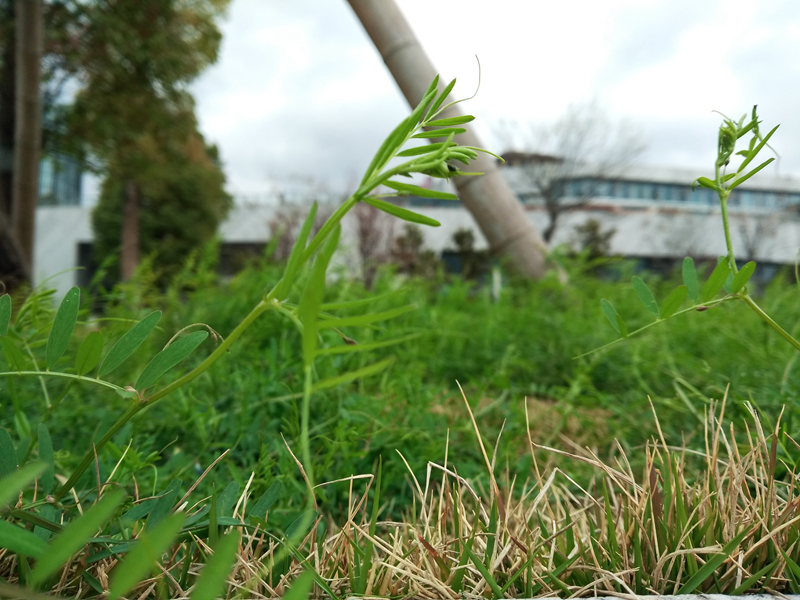 360新款手机n5深度评测,测评360n5