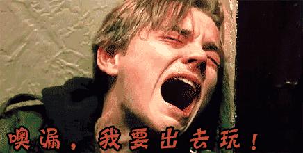 荷兰猪外出郊游，操心的事太多，其实只要做到这几点就可以了