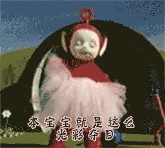 荷兰猪外出郊游，操心的事太多，其实只要做到这几点就可以了