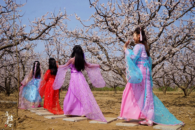 五彩小花童，在杏花从中上演三生三世！