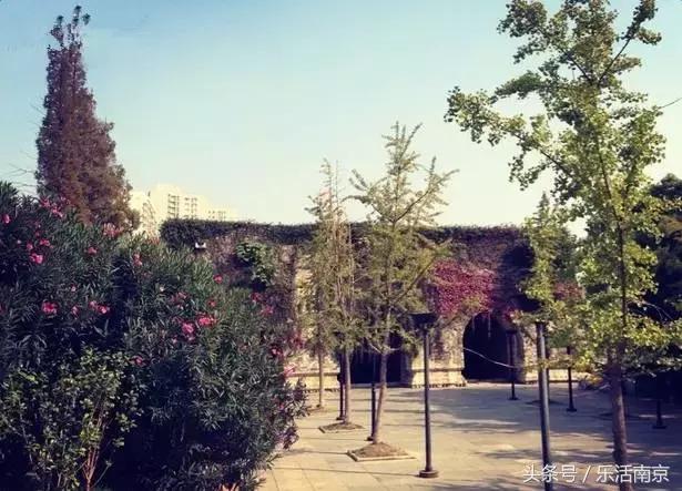 免费公园南京,南京十大公园排行榜