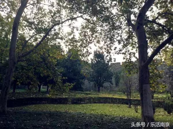 免费公园南京,南京十大公园排行榜
