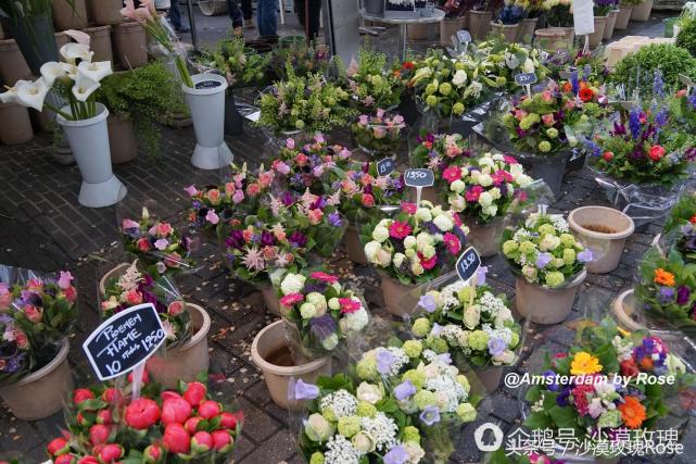 建在水上的鲜花市场，荷兰女王也骑车来买花