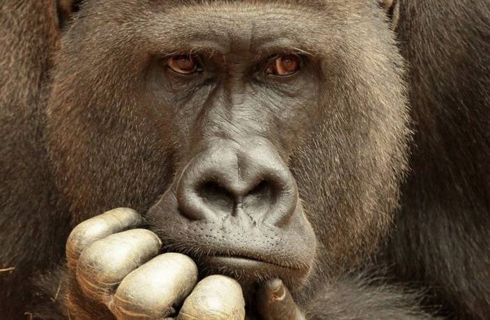 浅谈中药配方颗粒的利弊,中药颗粒剂到底好不好