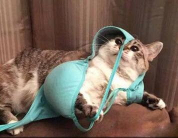 妹子你知道吗？衣服破了个口子，快点回去补补吧！