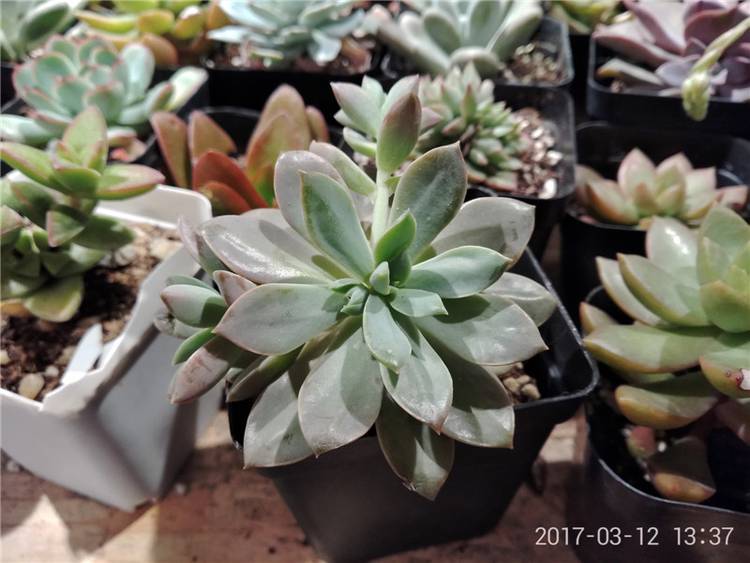 360n5手机详细参数,360n5评测能多开微信吗