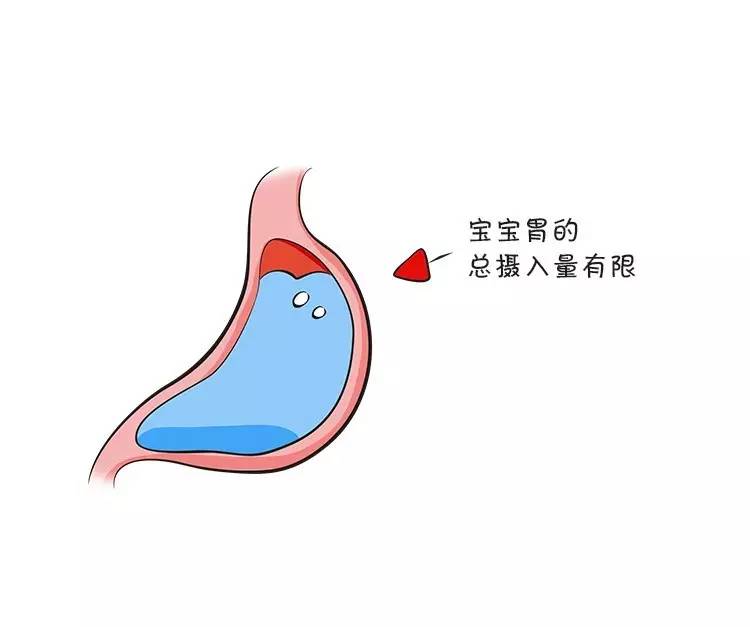 6个月宝宝需要喝水吗,6个月宝宝不喝水有什么妙招
