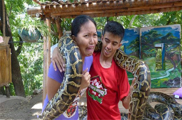 用蟒蛇按摩,蟒蛇按摩手法视频