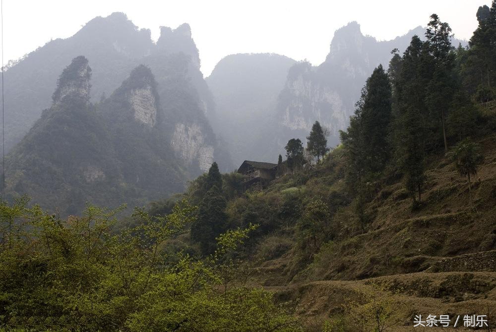 降术由来,降木术出自哪个国家