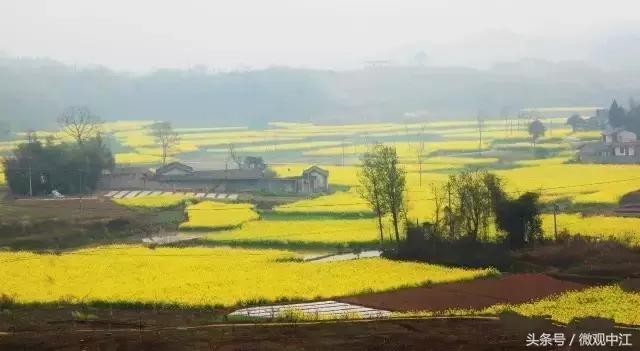 四川德阳最美景区,德阳中江最好的镇