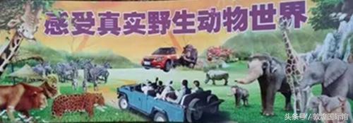 原生态无污染绿色食物,聚贤生态园李家铁锅炖凉菜菜单