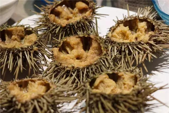 逆天啦,海鼎荟厦门生蚝