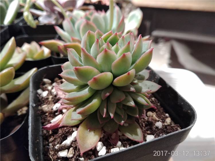 360n5手机详细参数,360n5评测能多开微信吗