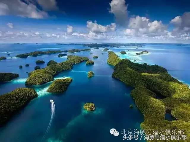 帕劳五日游自由行,帕劳五日旅游