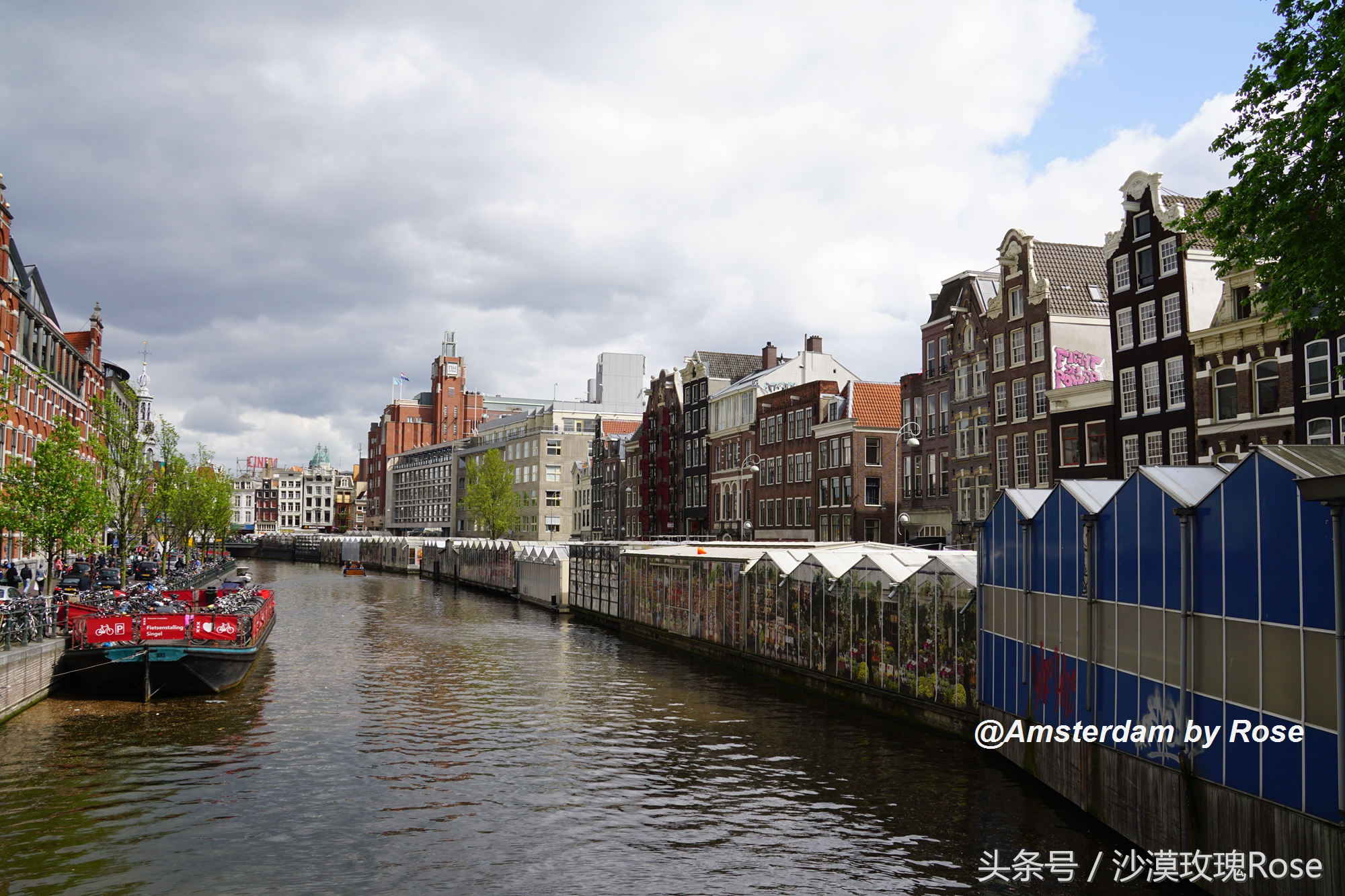 建在水上的鲜花市场，荷兰女王也骑车来买花