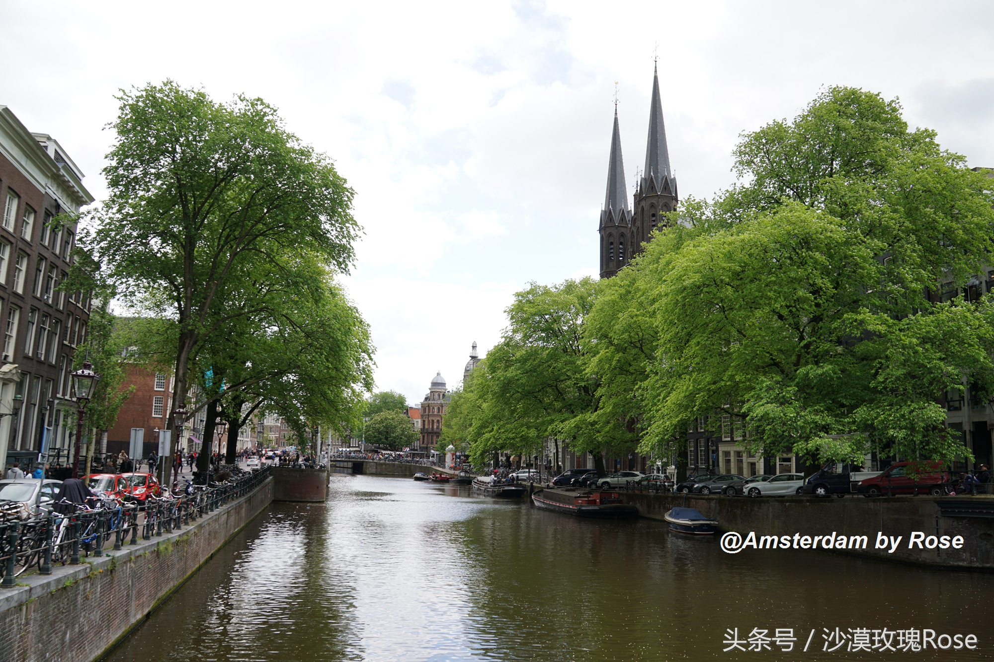 建在水上的鲜花市场，荷兰女王也骑车来买花