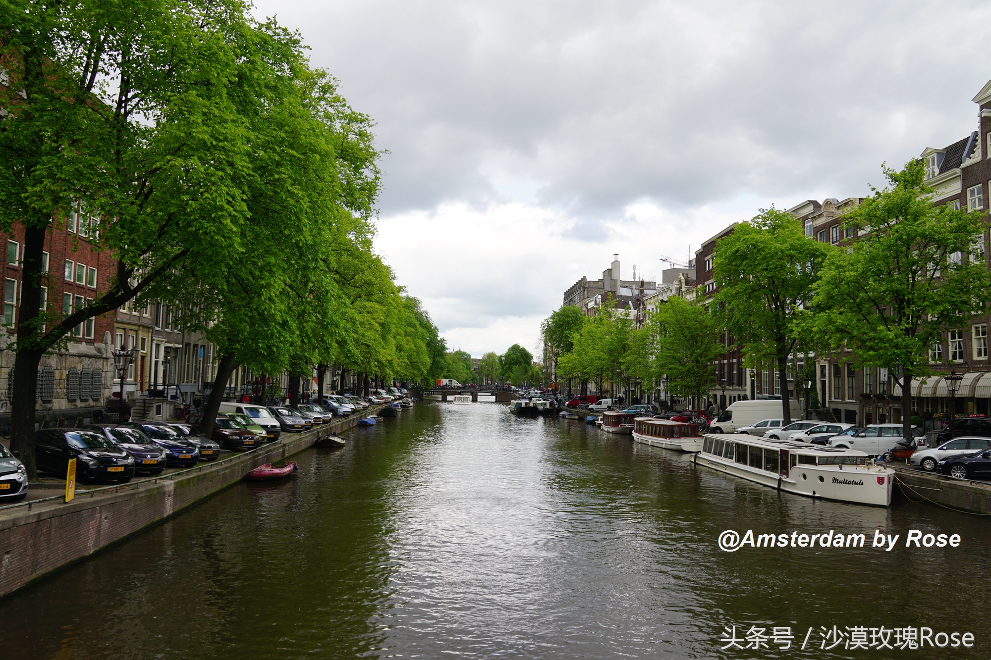 建在水上的鲜花市场，荷兰女王也骑车来买花