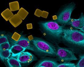 体检报告中肿瘤标志物怎么看,一文帮你读懂肿瘤标志物指标