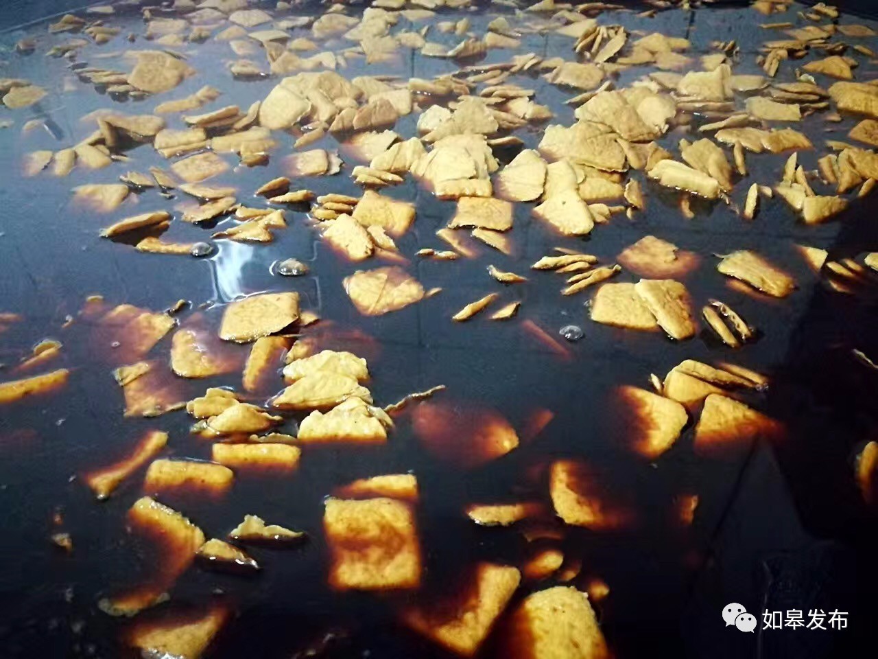 定了！从今天起，如皋白蒲古镇将列入每个人的旅行清单！