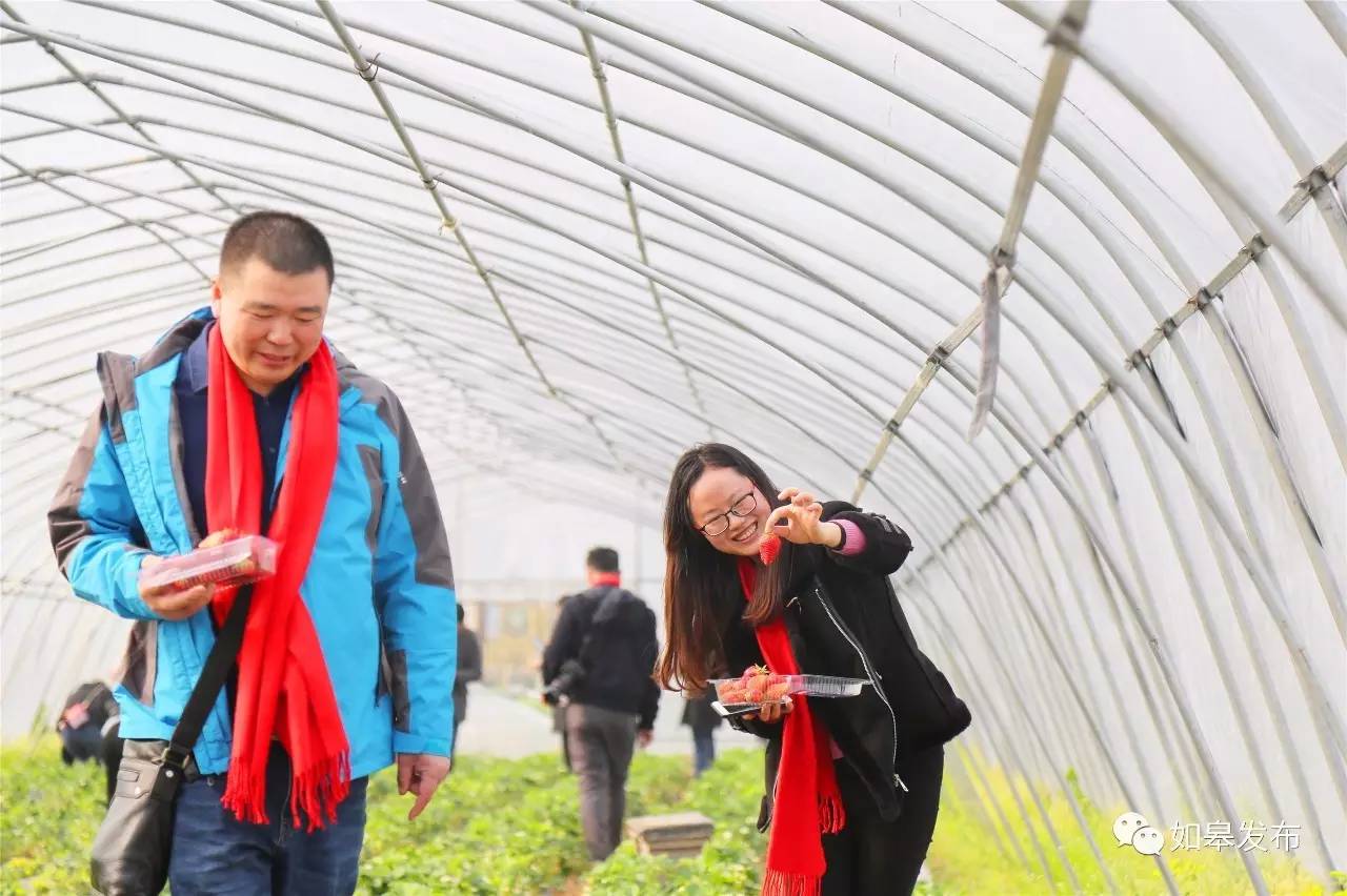 定了！从今天起，如皋白蒲古镇将列入每个人的旅行清单！