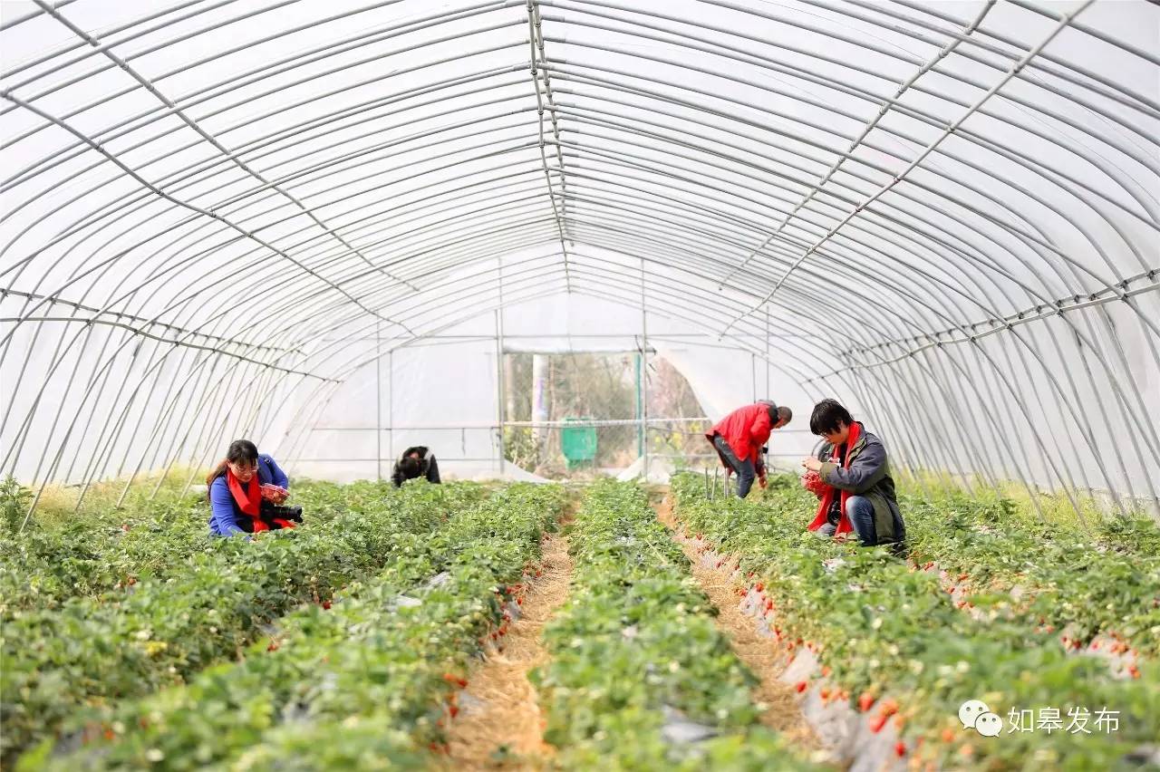 定了！从今天起，如皋白蒲古镇将列入每个人的旅行清单！