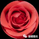 社区书记参加培训班的心得体会,全国社区书记主任培训心得体会