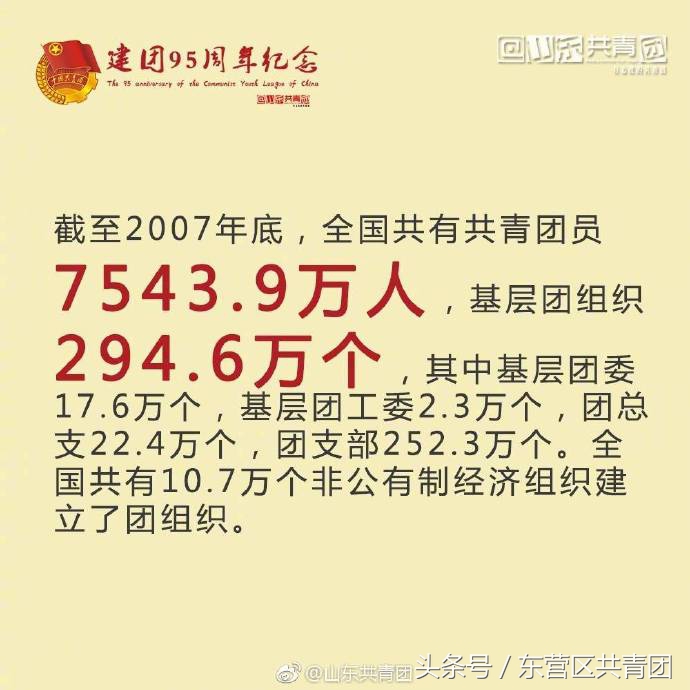 中国共青团100年历史,共青团的历史简介图片